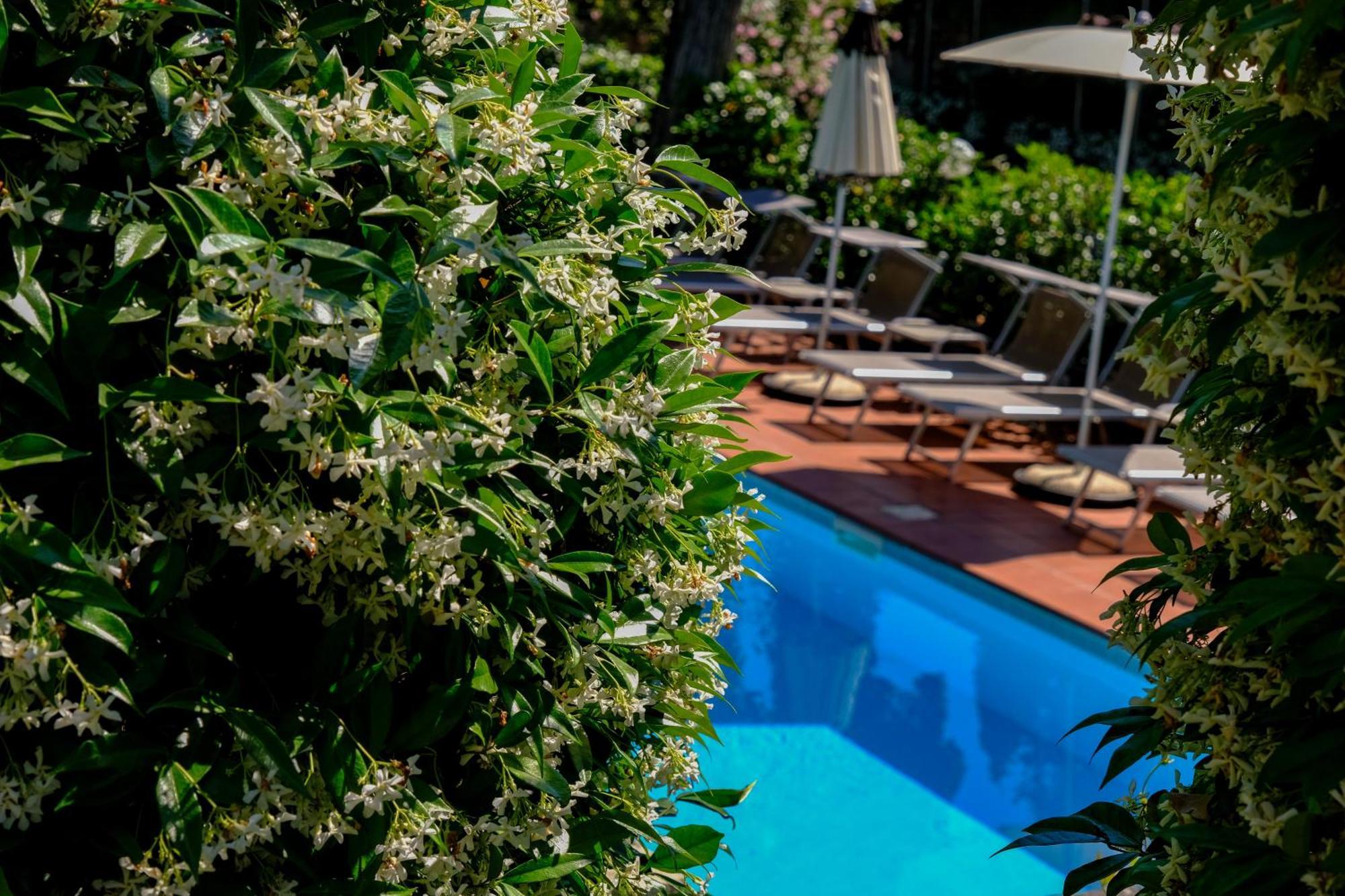 Hotel Bellevue 3*